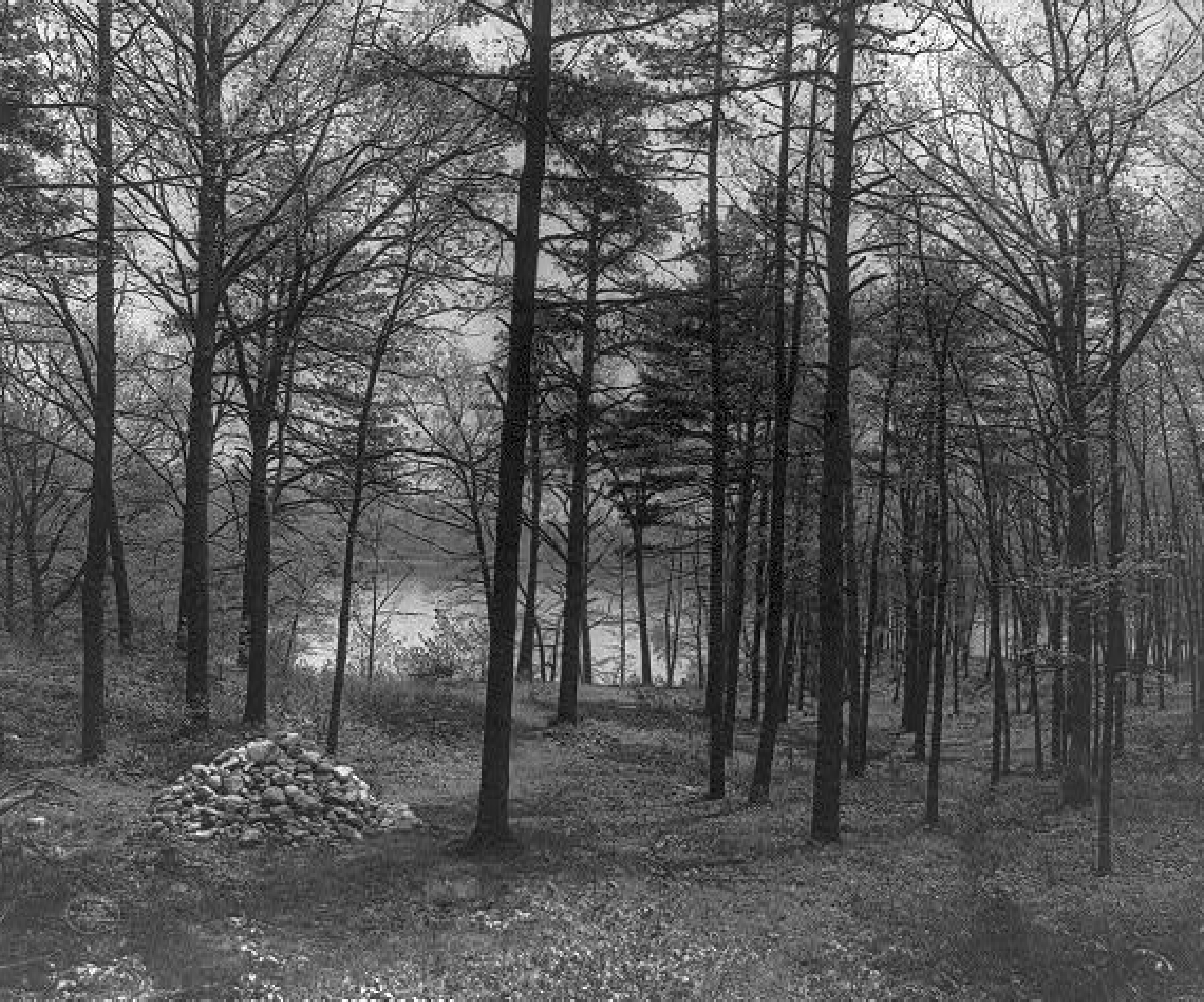 Walden Variant